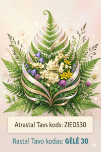 Kods ZIEDS 30 lielie izmēri